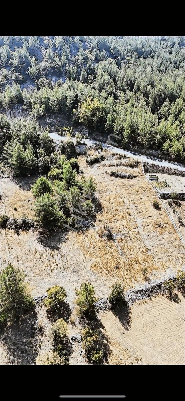 Muğla Menteşe Denizovada Suyun Yanında Asfalt Yol Cepheli Arazi - Görsel 10