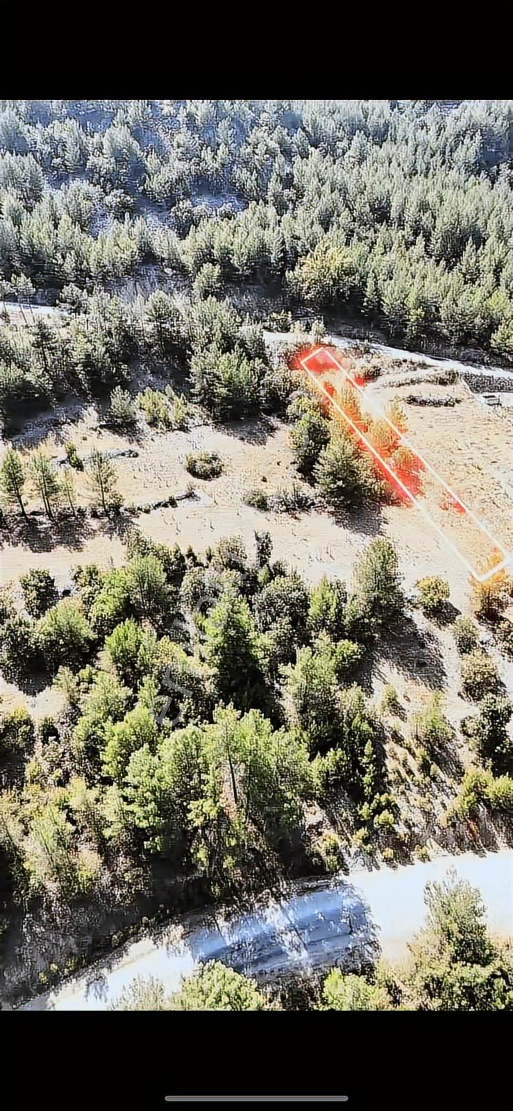 Muğla Menteşe Denizovada Suyun Yanında Asfalt Yol Cepheli Arazi - Görsel 17