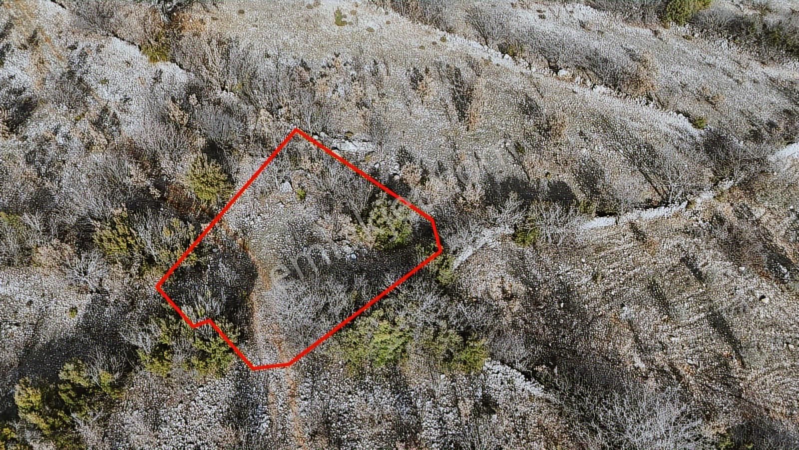 Muğla Menteşe Denizova Yolu Olan Manzaralı 875 M2 Satılık - Görsel 6