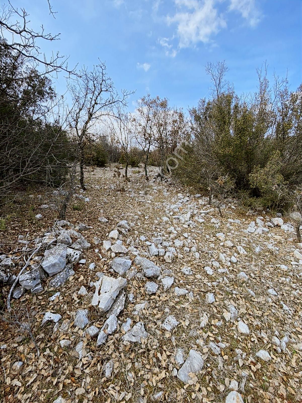 Muğla Menteşe Denizova Yolu Olan Manzaralı 875 M2 Satılık - Görsel 4