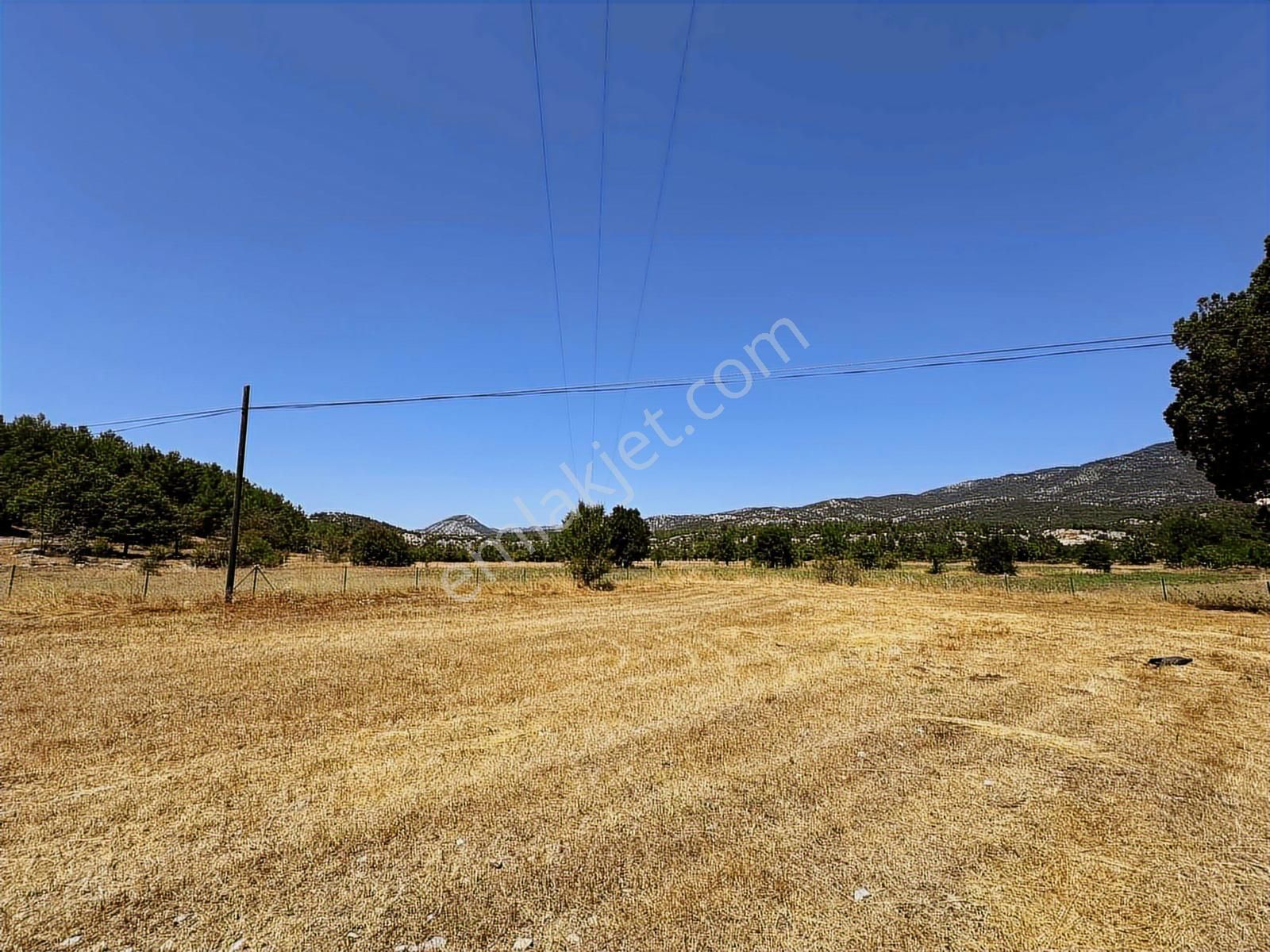 Antalya Akseki Emiraşıklar Mahallesi Satılık Tek Tapu Tarla - Görsel 7