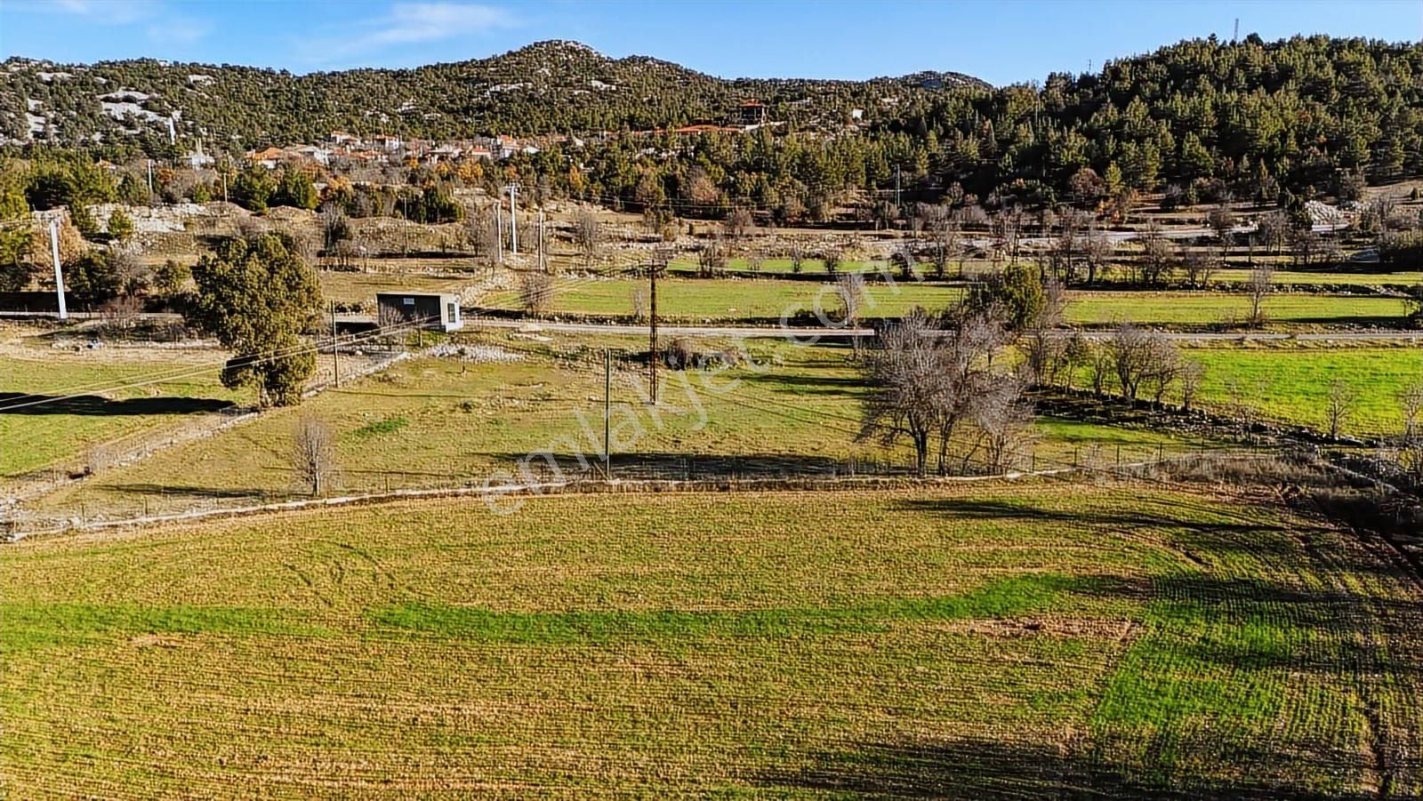 Antalya Akseki Emiraşıklar Mahallesi Satılık Tek Tapu Tarla - Görsel 10