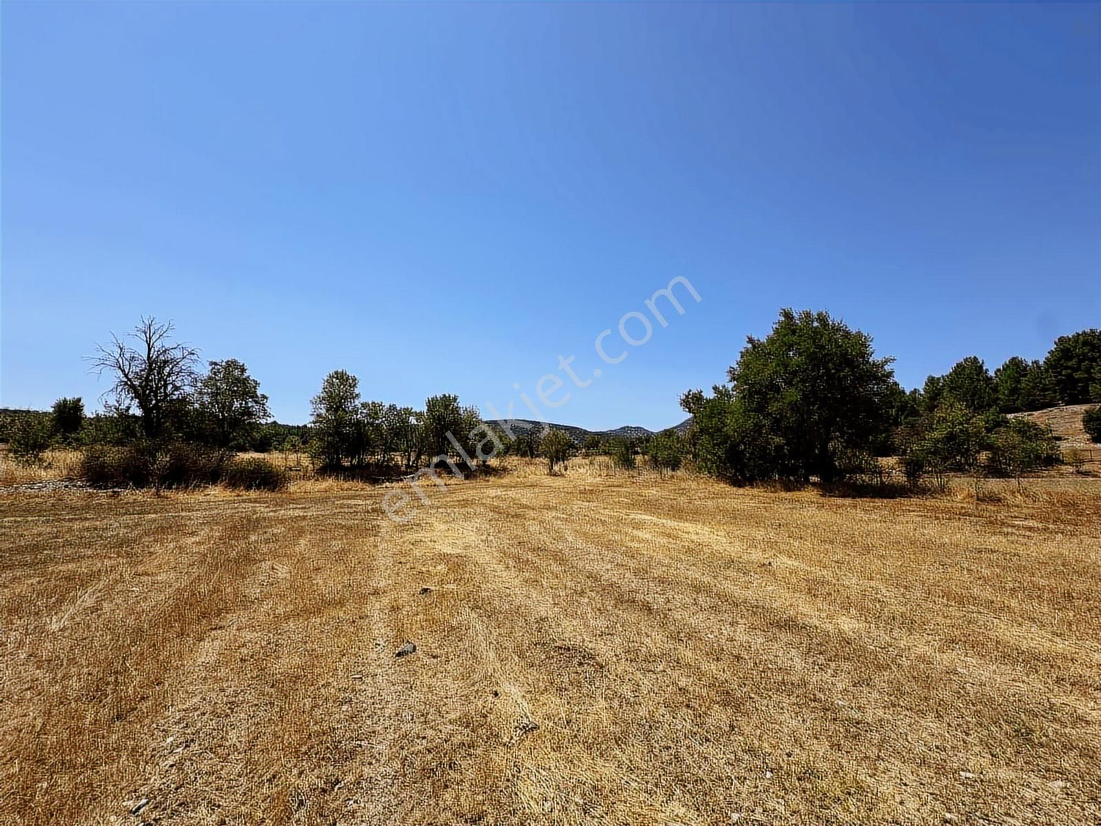 Antalya Akseki Emiraşıklar Mahallesi Satılık Tek Tapu Tarla - Görsel 26