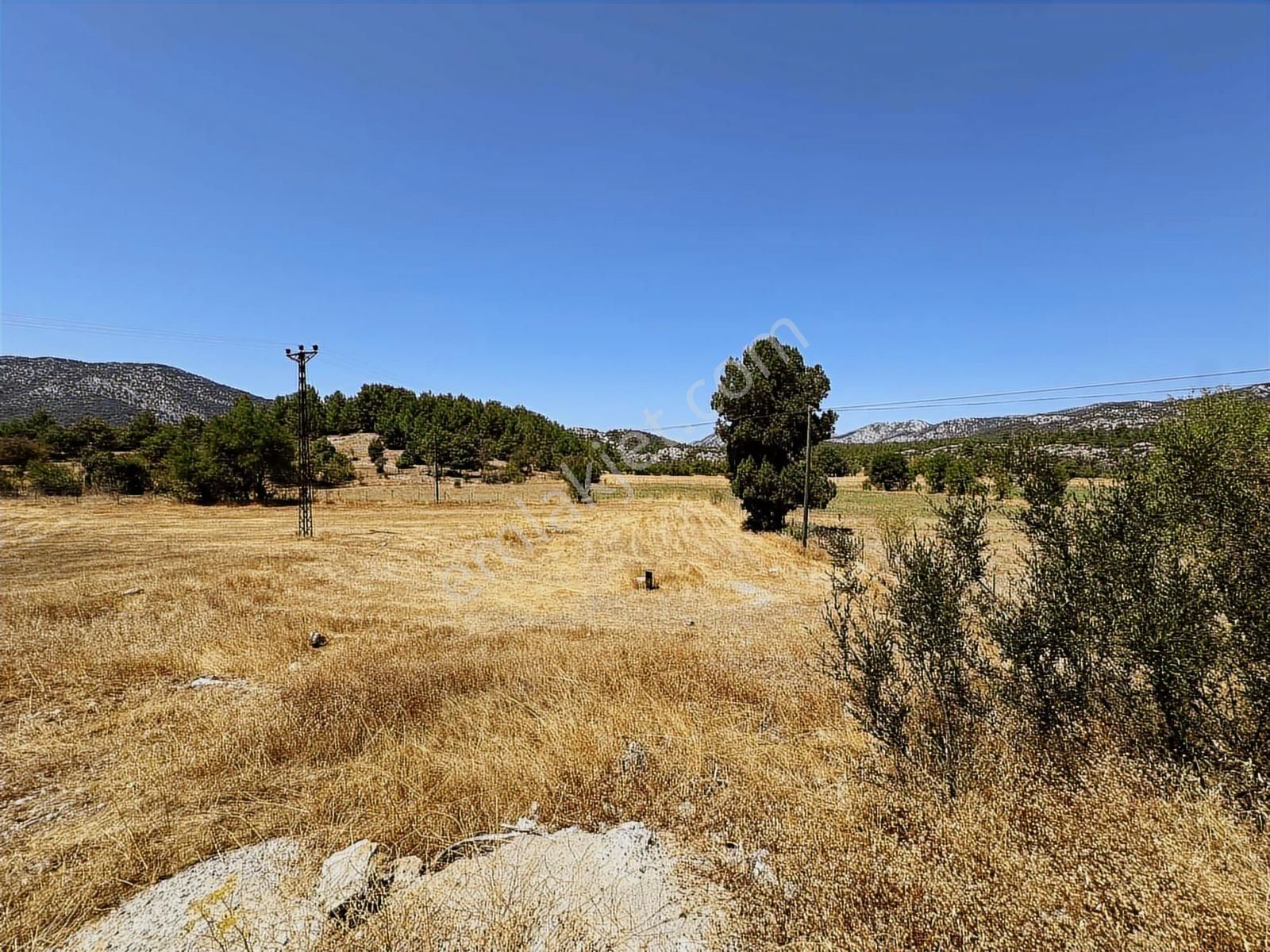 Antalya Akseki Emiraşıklar Mahallesi Satılık Tek Tapu Tarla - Görsel 15