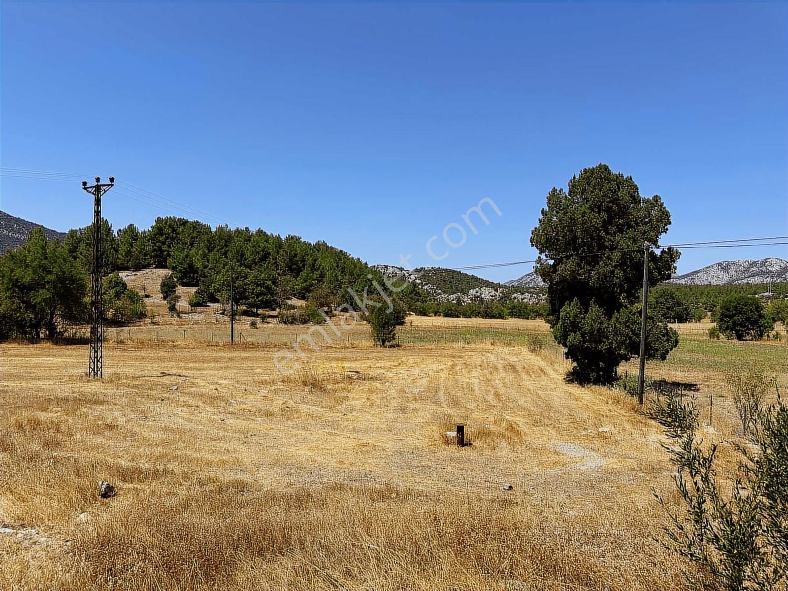 Antalya Akseki Emiraşıklar Mahallesi Satılık Tek Tapu Tarla - Görsel 17
