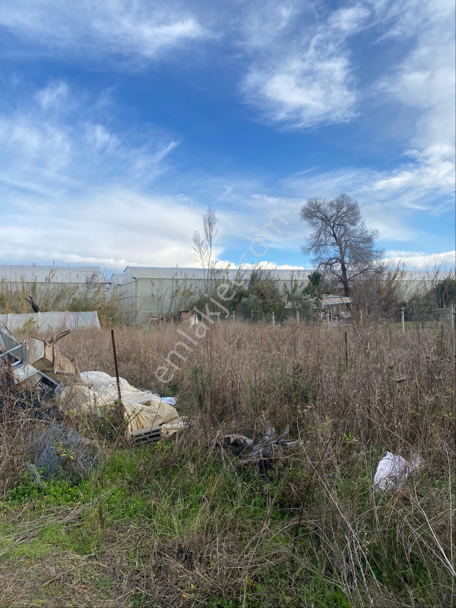 Evrenler Yavşi Mahallesi’nde 635 Metrekare Hisseli Tarla Satılık - Görsel 11