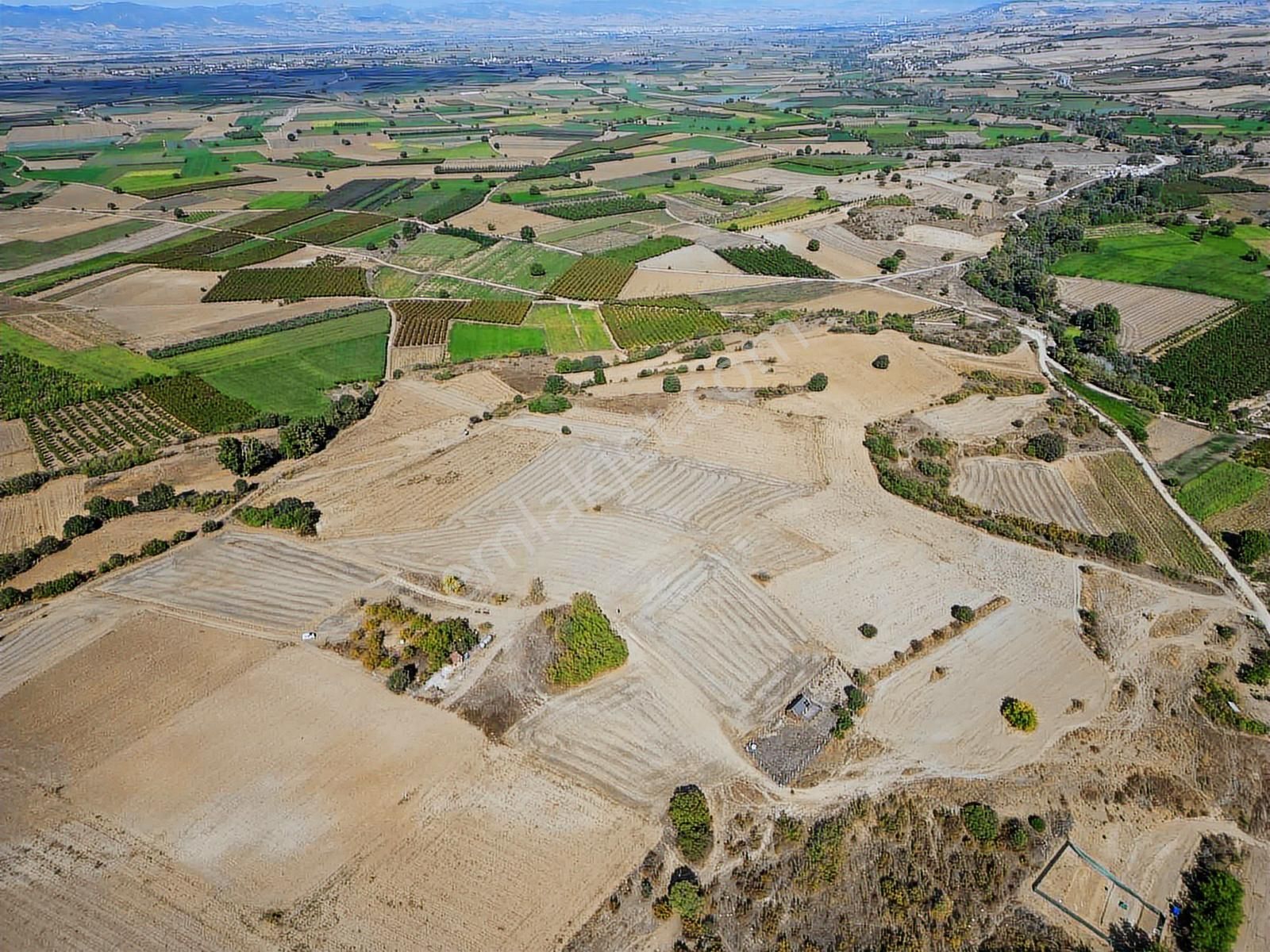 İnegöl Boğaz Köyde 9.764 M2 Tarıma Uygun Arazi - Görsel 5