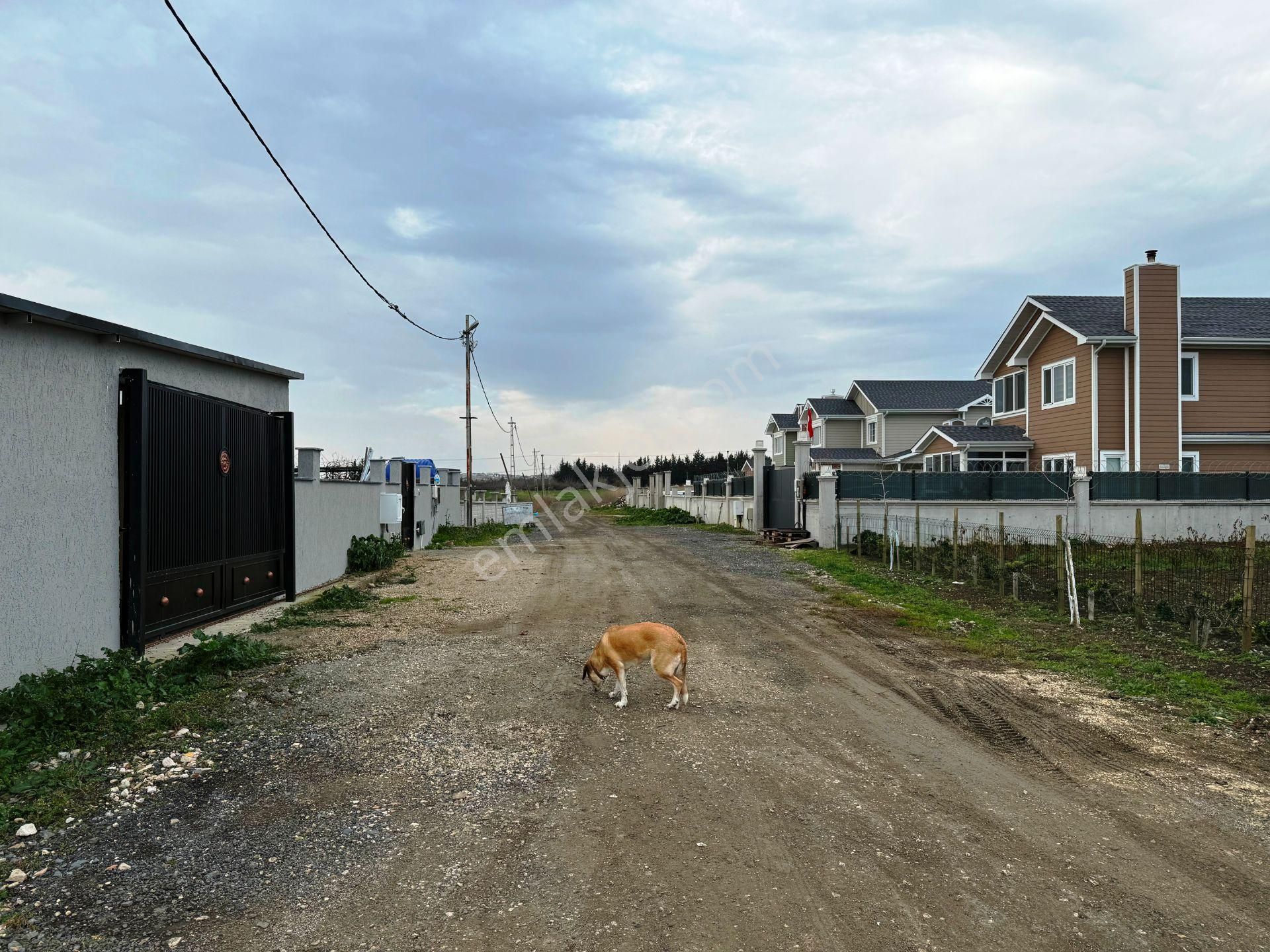 Kavaklı Villalar Bölgesi'nde 3042m2 İnşaata Uygun Satılık Arsa - Görsel 26