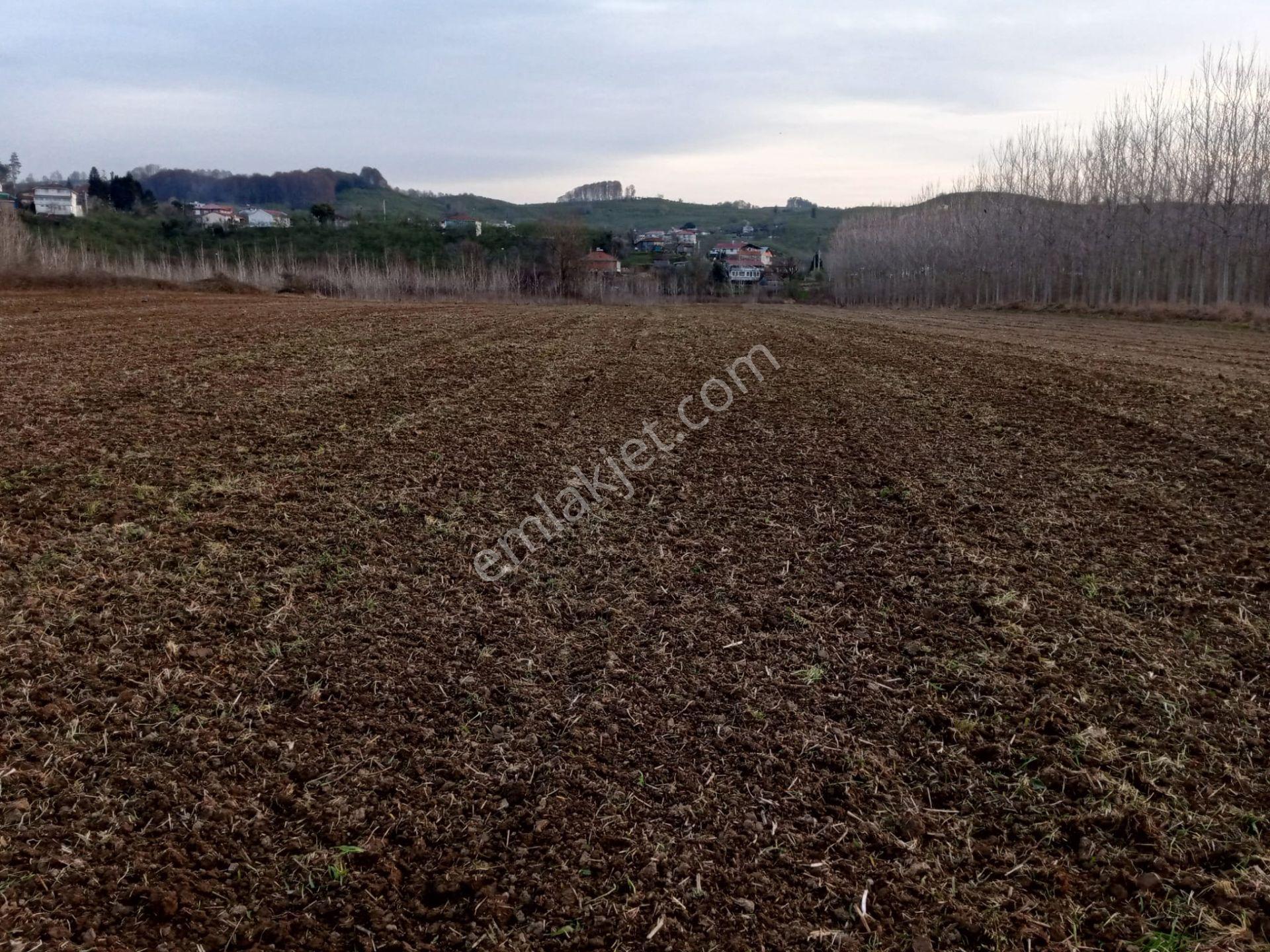 Sahibinden Akçakoca Nazımbeyde 11.473 M² Takas Olur