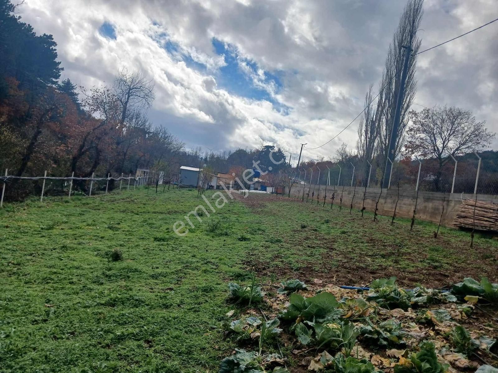 Bayındır 1.300 Mt Tek Tapu Ana Yol Üzeri - Görsel 9