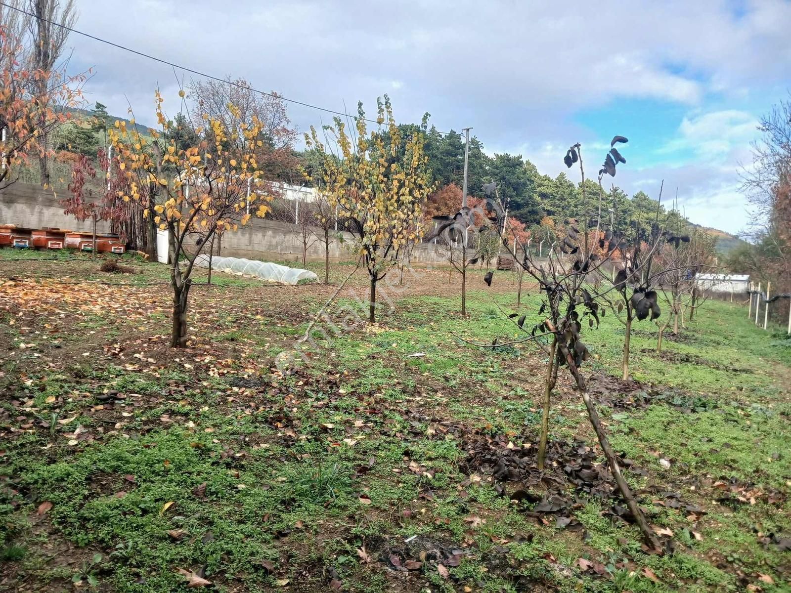 Bayındır 1.300 Mt Tek Tapu Ana Yol Üzeri - Görsel 6