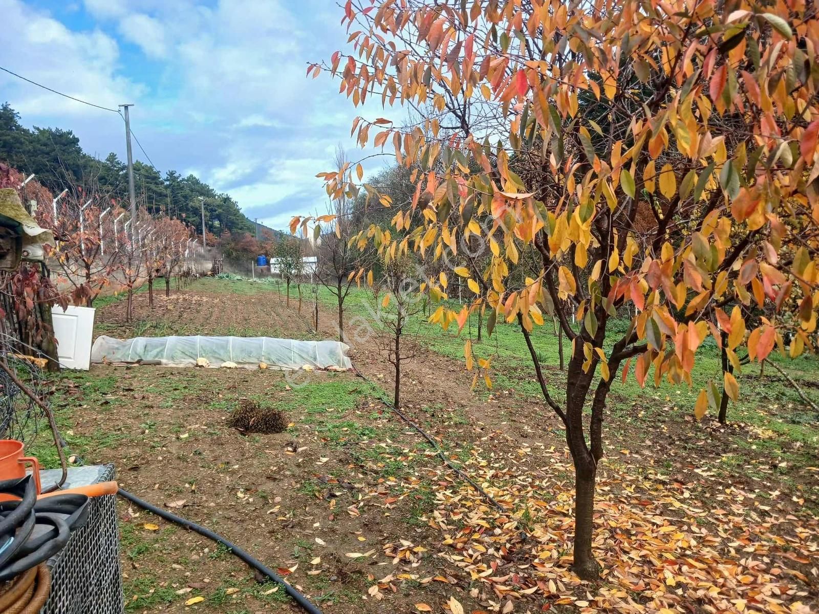 Bayındır 1.300 Mt Tek Tapu Ana Yol Üzeri - Görsel 28