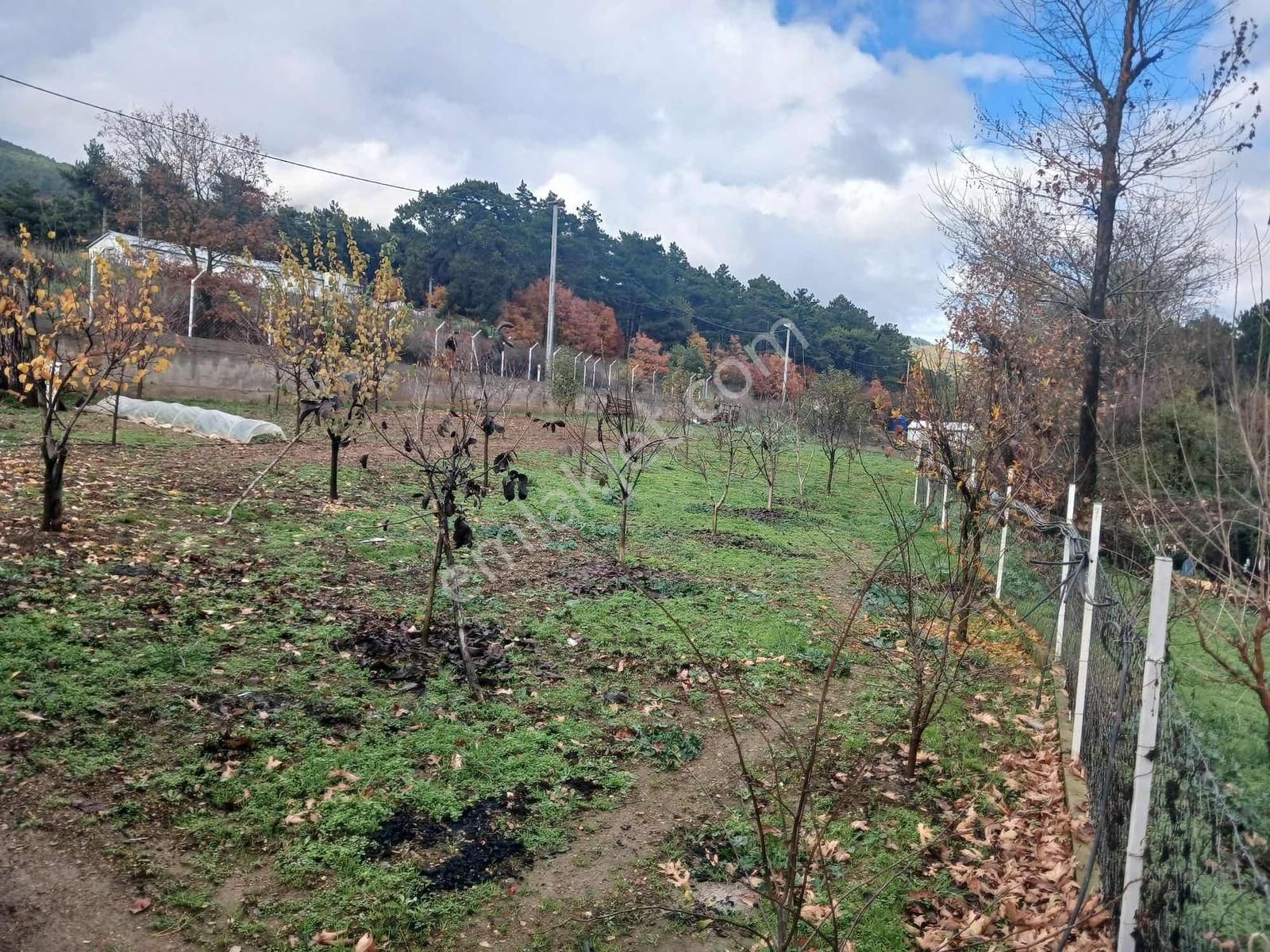 Bayındır 1.300 Mt Tek Tapu Ana Yol Üzeri - Görsel 21