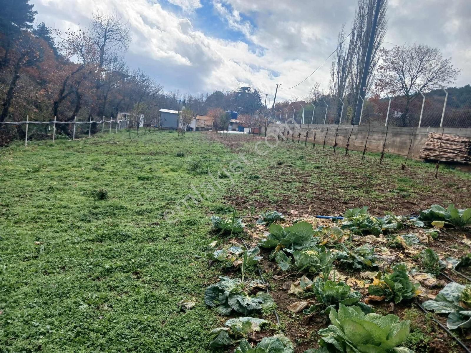 Bayındır 1.300 Mt Tek Tapu Ana Yol Üzeri - Görsel 2