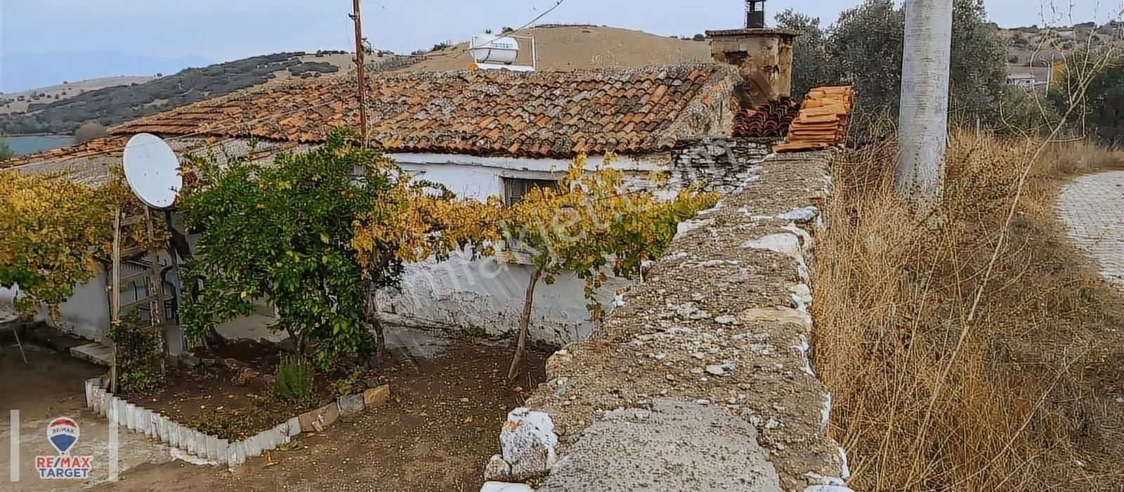 İzmir Tire Işıklarda Avlulu Kargir Ev + 200e Yakın Zeytin Ağacı - Görsel 6