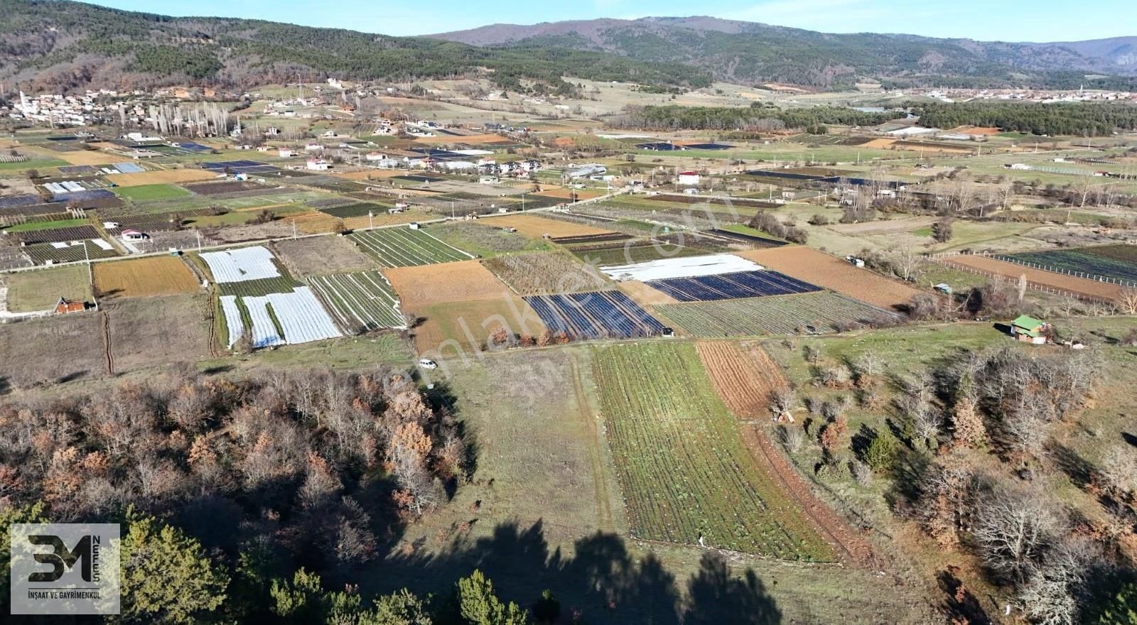 Sakarya Pamukova Hüseyinli 2137 M2 Resmi Yol Su Elektrik Fırsat - Görsel 15