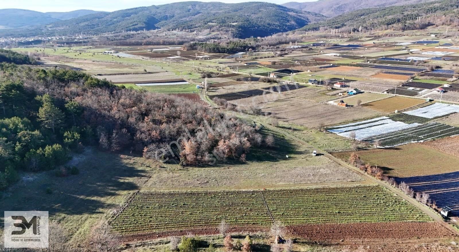 Sakarya Pamukova Hüseyinli 2137 M2 Resmi Yol Su Elektrik Fırsat - Görsel 18