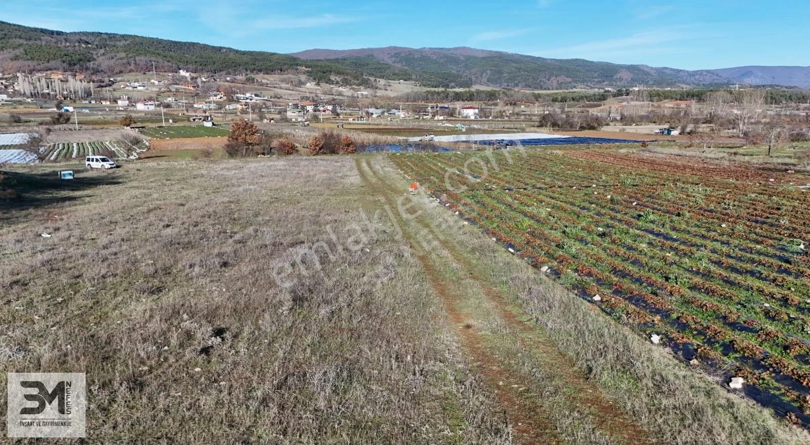 Sakarya Pamukova Hüseyinli 2137 M2 Resmi Yol Su Elektrik Fırsat - Görsel 14