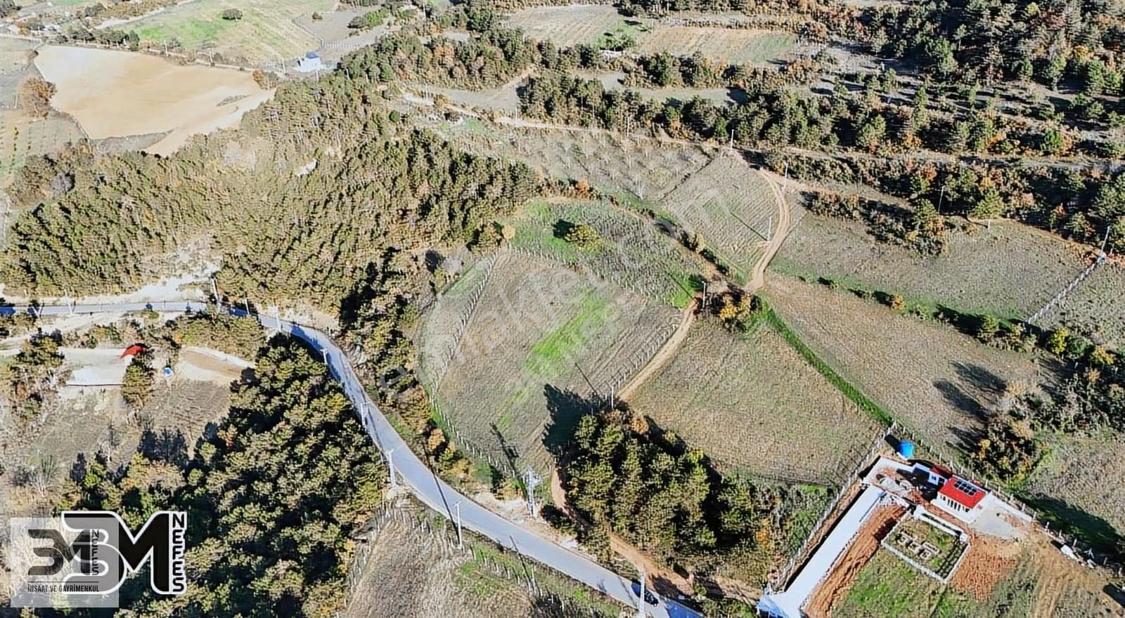 Sakarya Geyve Akdoğan Elektrik Su 2300 M2 Resmi Yola Cephe - Görsel 2
