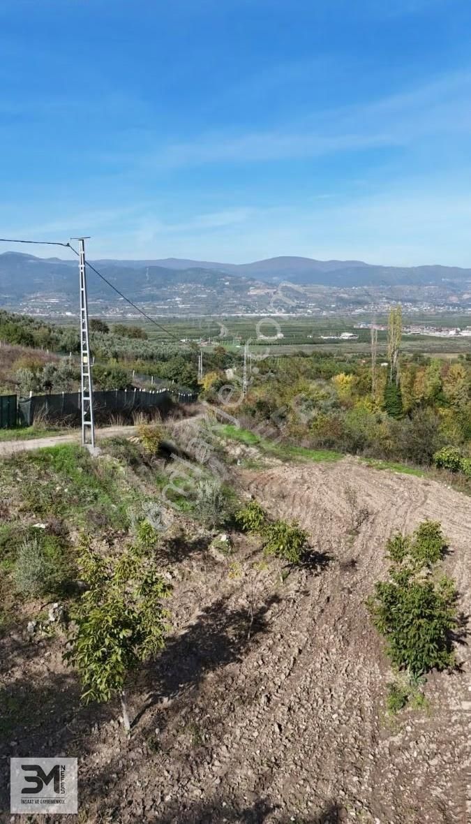 Sakarya Geyve Umurbey 1117 M2 Bahçe Nitelikli Resmi Yola Cephe - Görsel 13