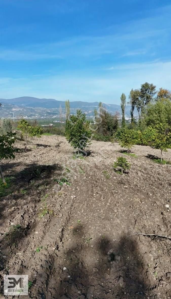 Sakarya Geyve Umurbey 1117 M2 Bahçe Nitelikli Resmi Yola Cephe - Görsel 9