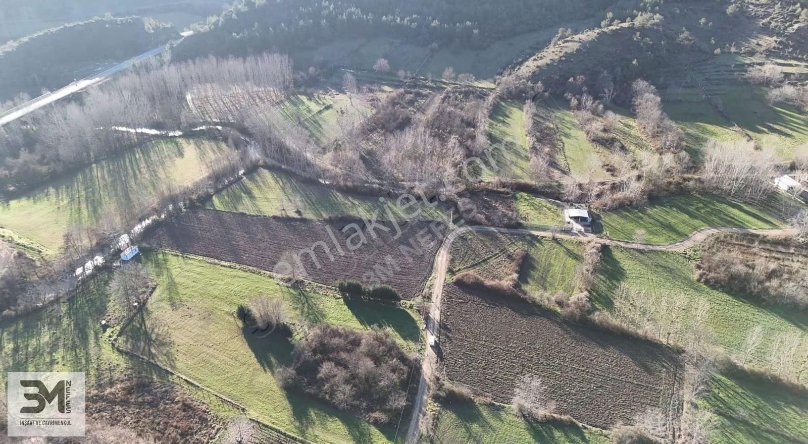 Sakarya Taraklı Ulucami 2955 M2 Elektrik Su Resmi Yol Bahçe - Görsel 24