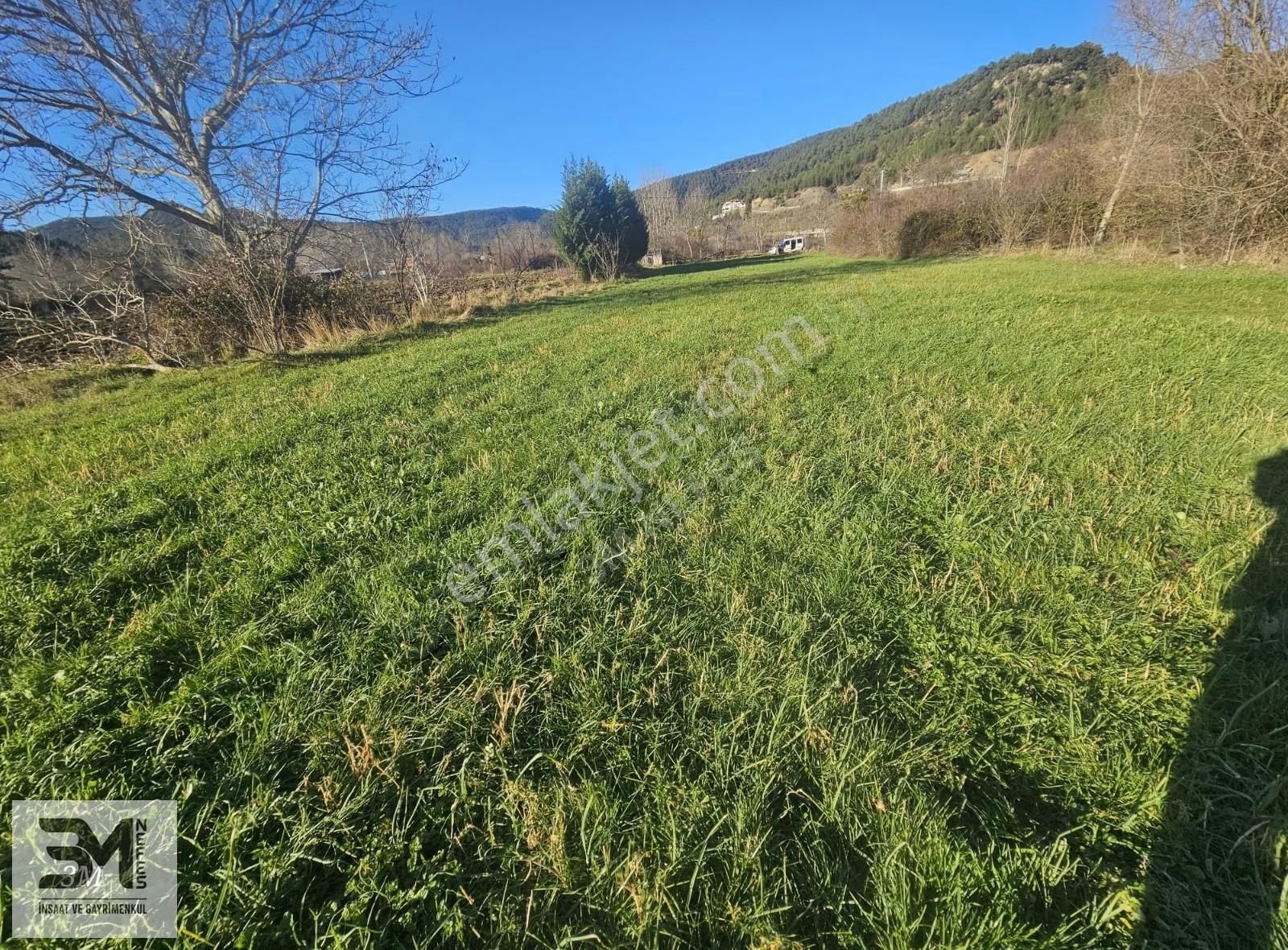 Sakarya Taraklı Ulucami 2955 M2 Elektrik Su Resmi Yol Bahçe - Görsel 16