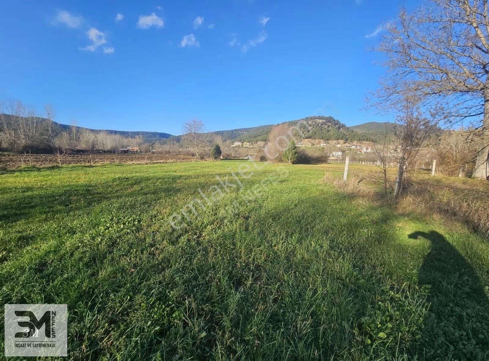 Sakarya Taraklı Ulucami 2955 M2 Elektrik Su Resmi Yol Bahçe - Görsel 3