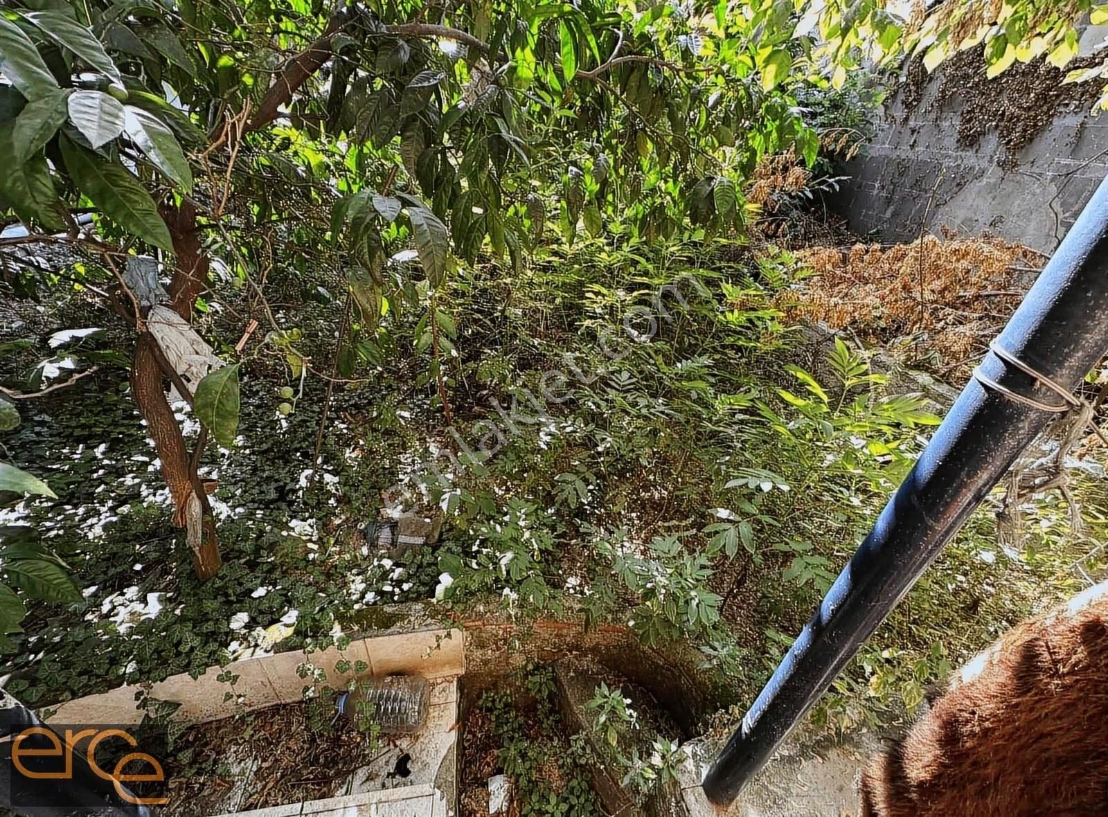 Esentepe Mahallesinde Fırsat Bahçeli Ev - Görsel 13