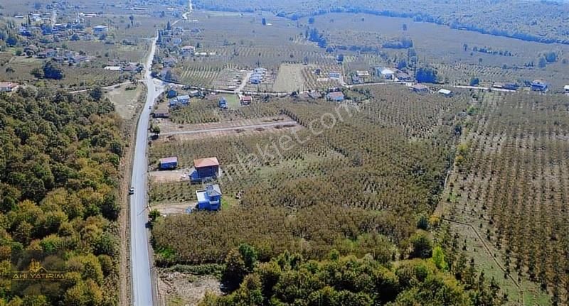 Ahi Group'tan Hendek Sivritepe Satılık Arazi - Görsel 8