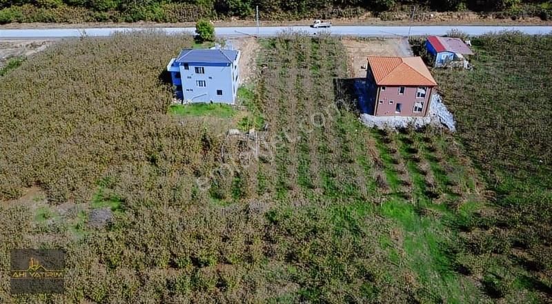 Ahi Group'tan Hendek Sivritepe Satılık Arazi - Görsel 4