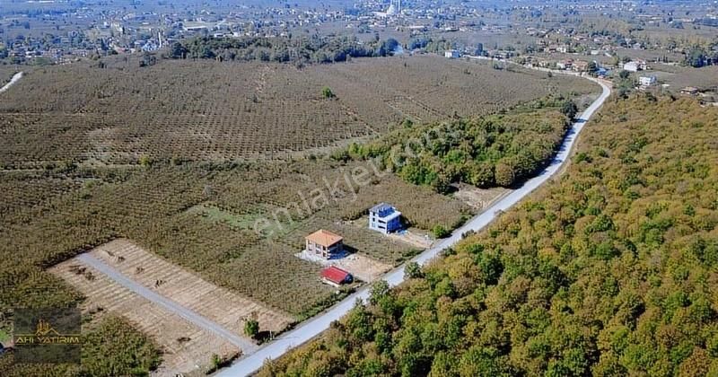 Ahi Group'tan Hendek Sivritepe Satılık Arazi - Görsel 3