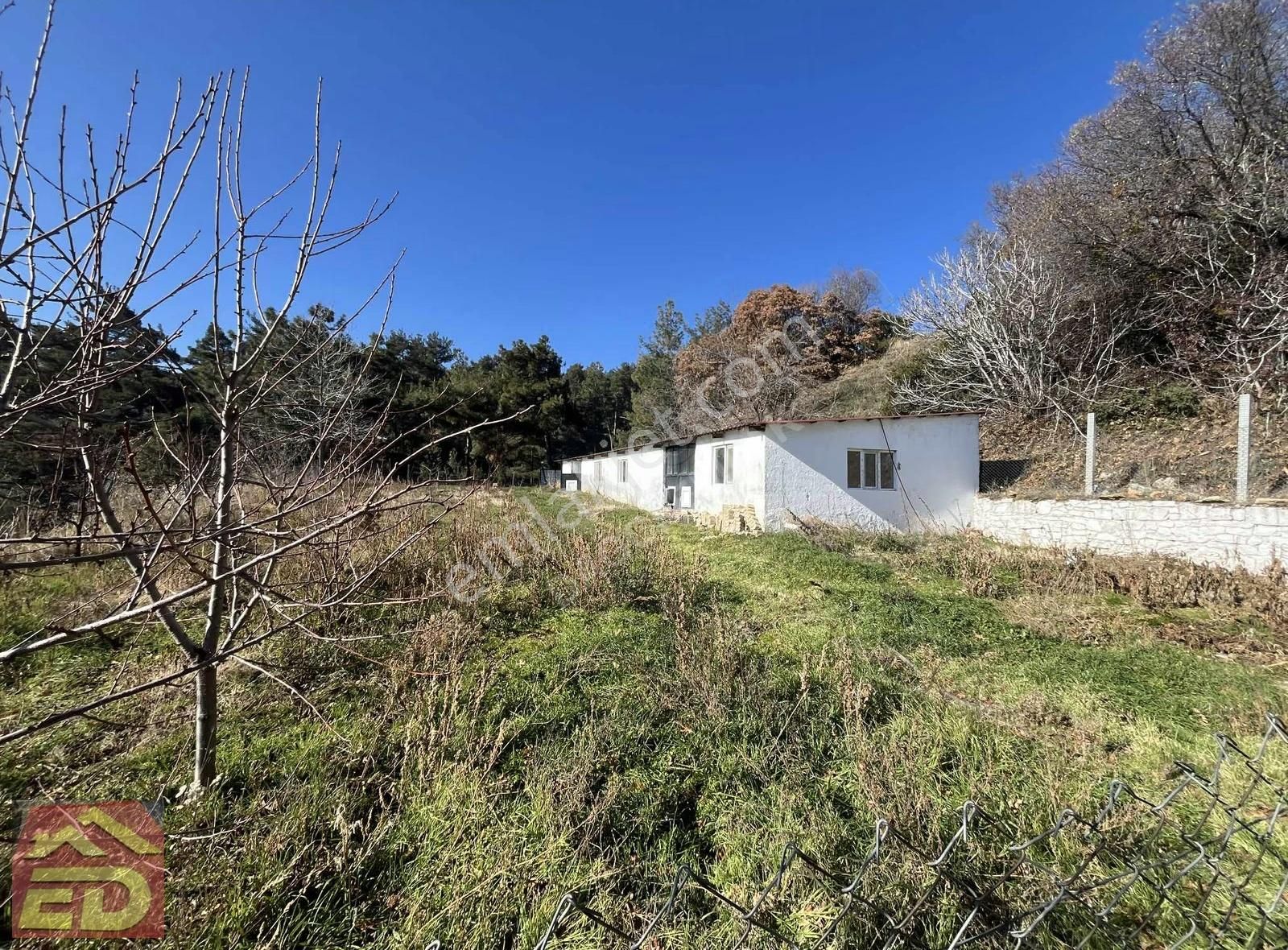 Dağcı Emlak Buldan Beytoluk Mevki Satılık Çiftlik Evi Ve Arazisi - Görsel 15