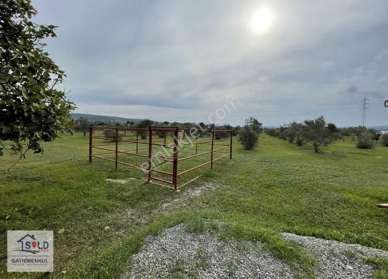 Urla Sıra Mahalle İtokent' E Komşu Satılık Arazi - Görsel 21