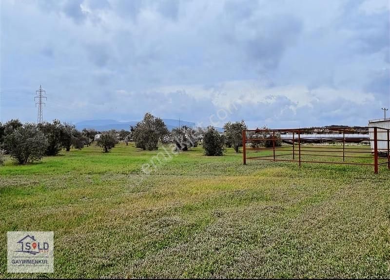 Urla Sıra Mahalle İtokent' E Komşu Satılık Arazi - Görsel 27