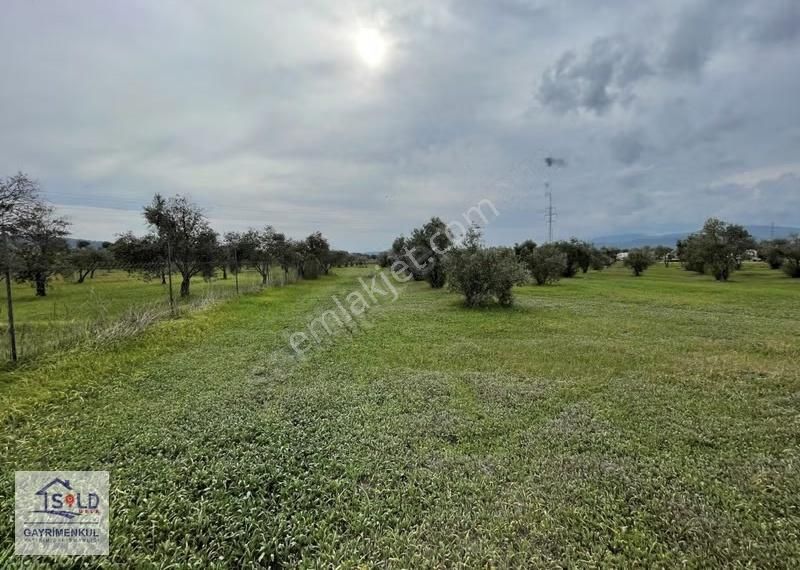 Urla Sıra Mahalle İtokent' E Komşu Satılık Arazi - Görsel 30