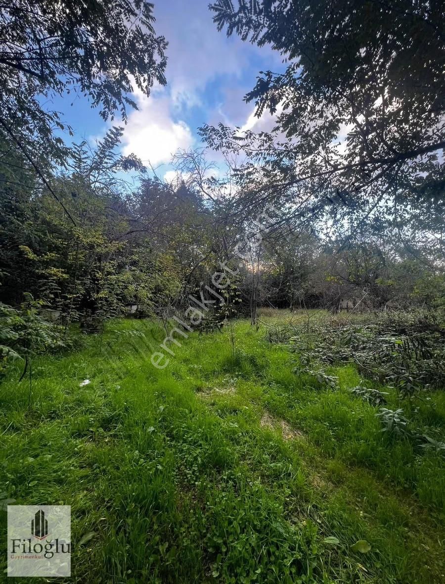 Filoğlu Gayrimenkulden Satılık Ticari + Konut Arsa