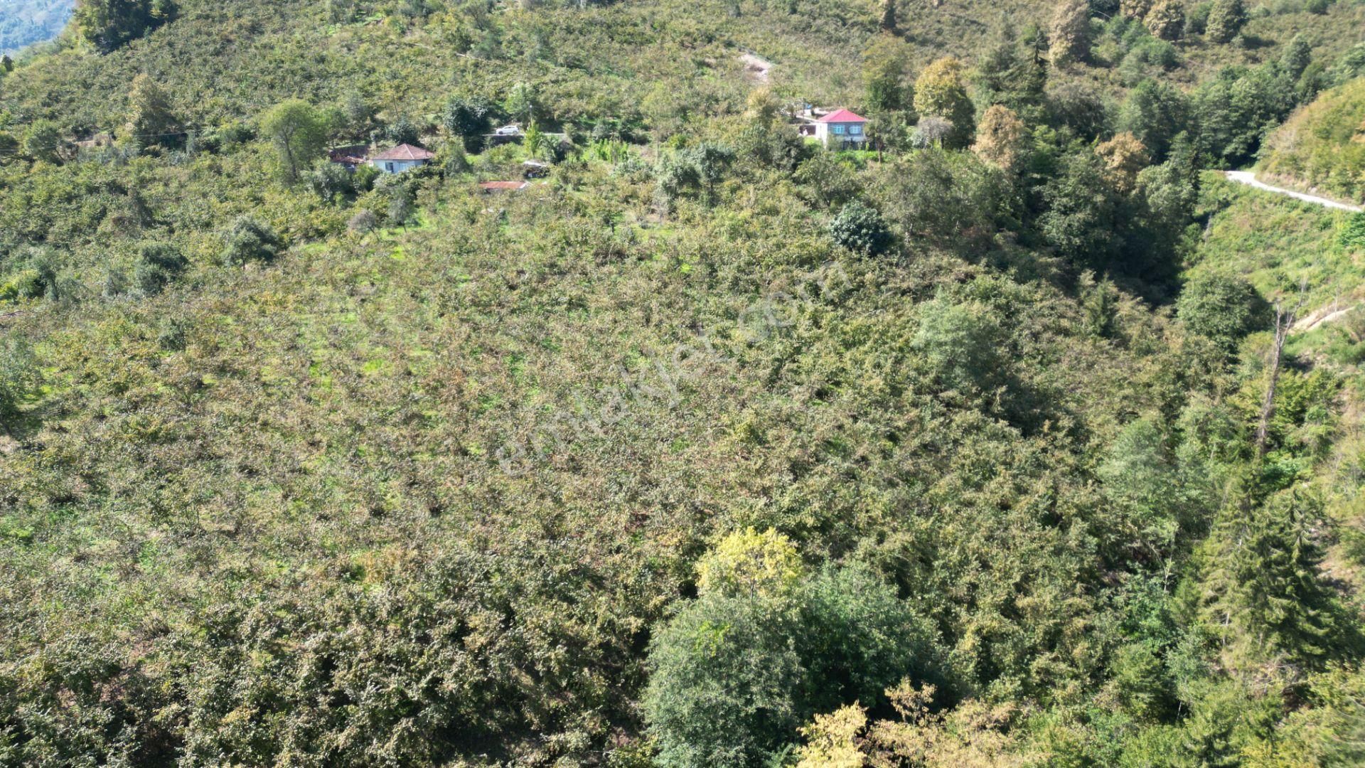 Yeşilyurt'da Merkezi Konumda Satılık Arsa