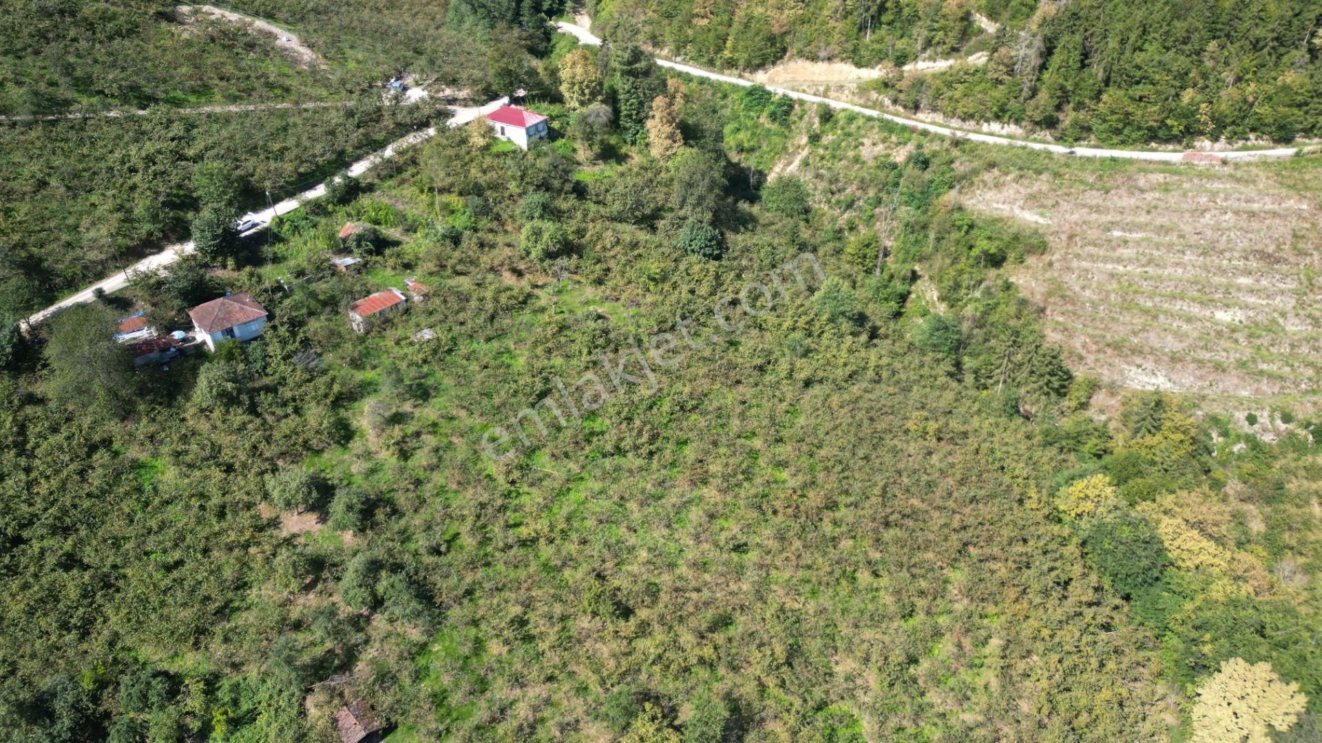 Yeşilyurt'da Merkezi Konumda Satılık Arsa - Görsel 13