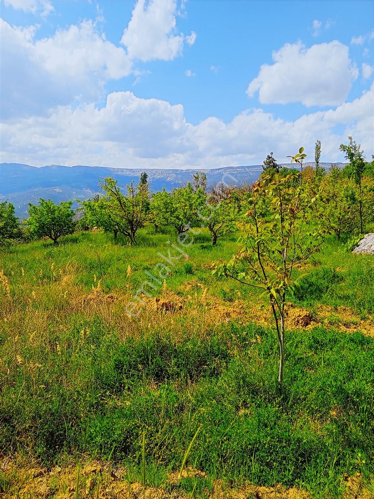 Talha Tozduman'dan Ermenek Y.çağlarda 2.209m M.tapulu Kup10bahçe - Görsel 9