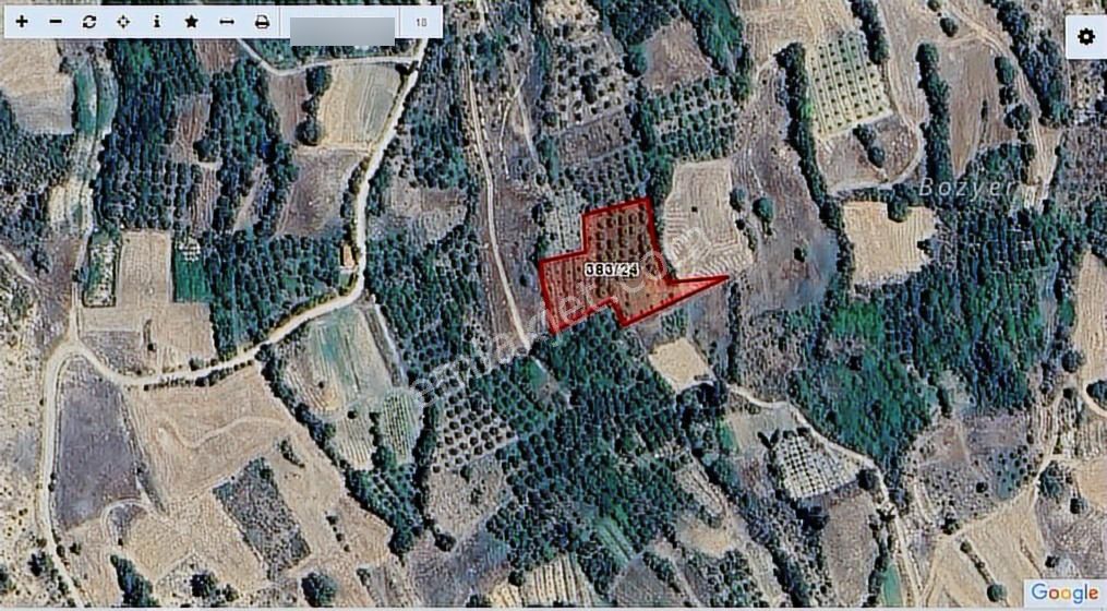 Talha Tozduman'dan Ermenek Y.çağlarda 2.209m M.tapulu Kup10bahçe - Görsel 13