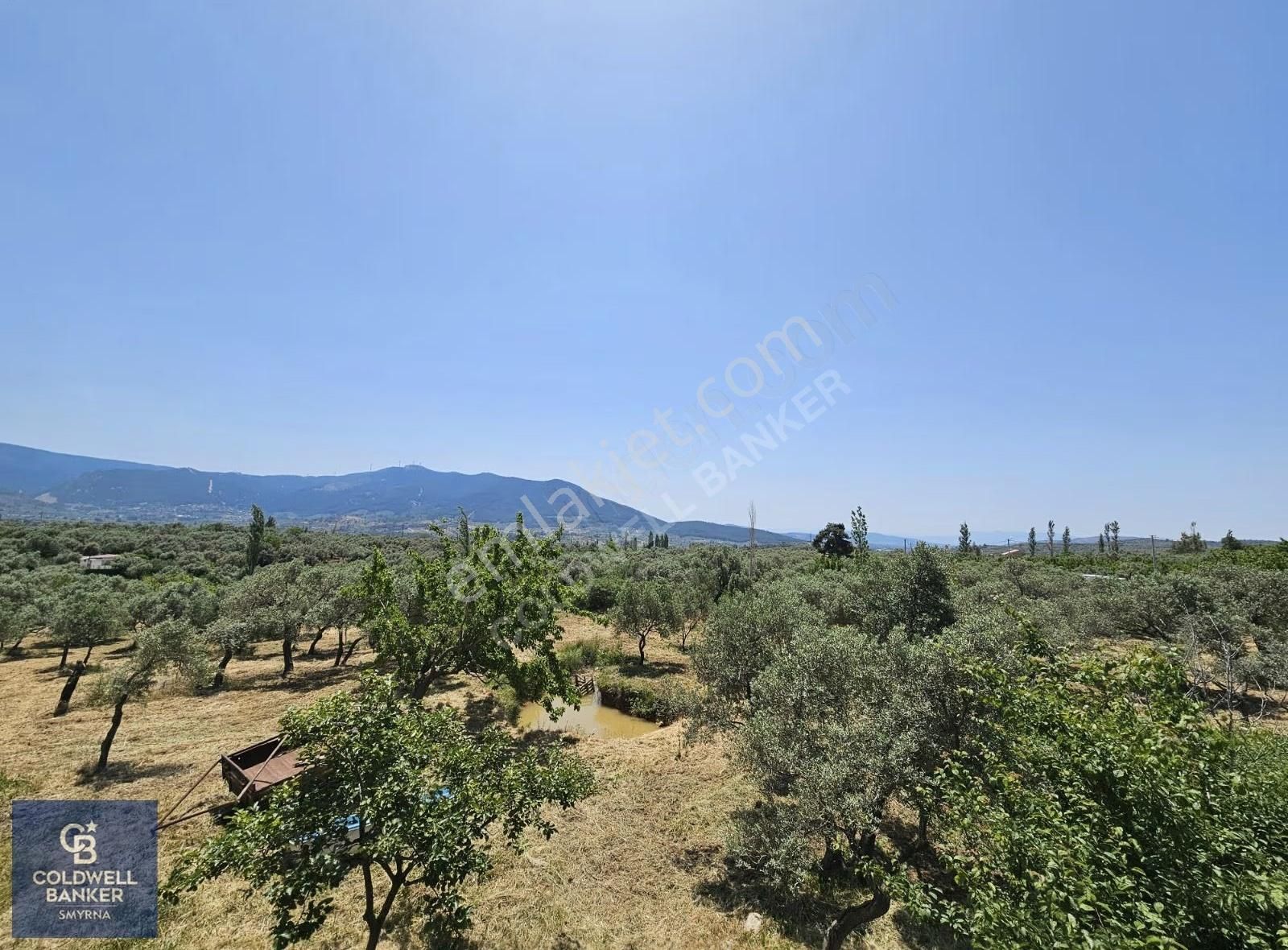 Kemalpaşa Vişnelide 13.640 M² | Çiftlik Ruhsatlı | 3 Katlı Yapı - Görsel 28