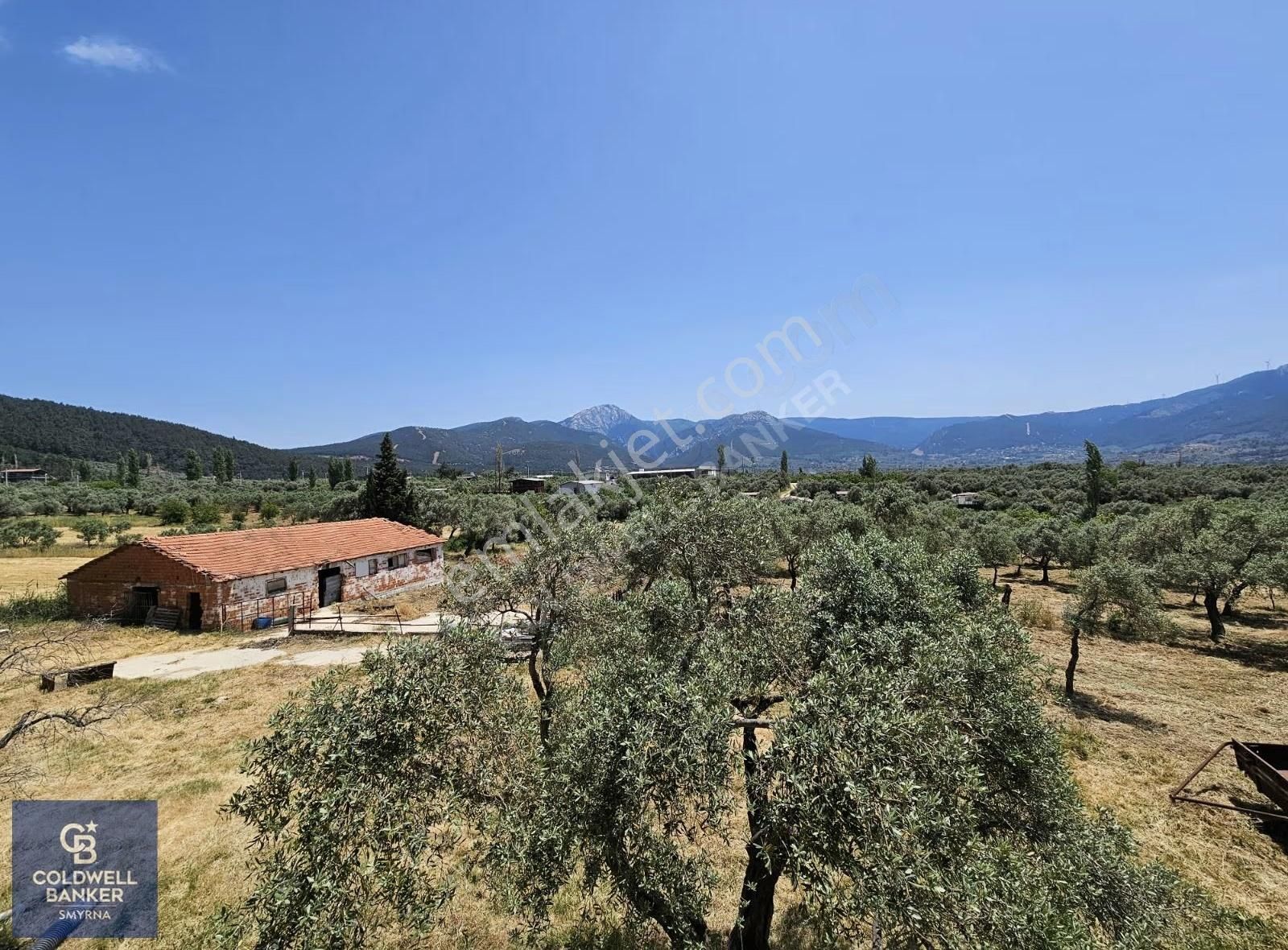 Kemalpaşa Vişnelide 13.640 M² | Çiftlik Ruhsatlı | 3 Katlı Yapı - Görsel 30