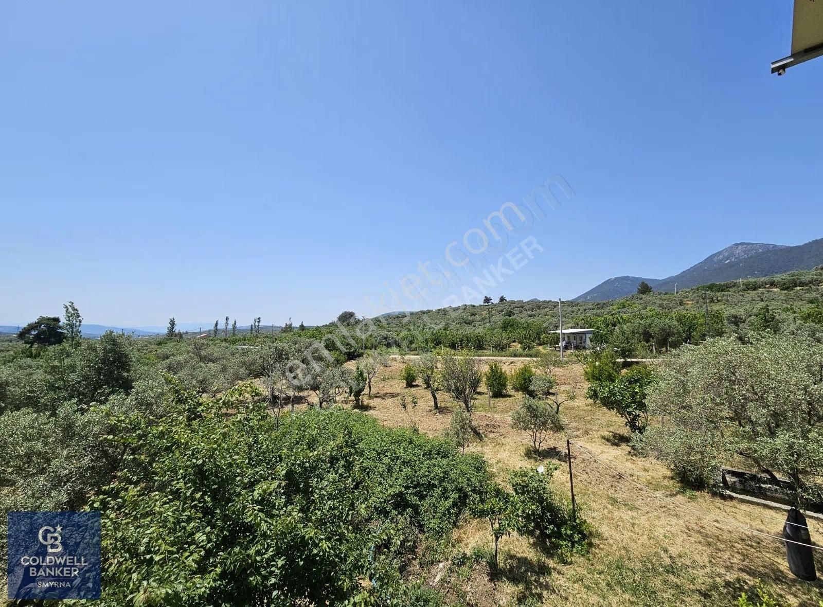 Kemalpaşa Vişnelide 13.640 M² | Çiftlik Ruhsatlı | 3 Katlı Yapı - Görsel 3