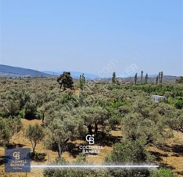 Kemalpaşa Vişnelide 13.640 M² | Çiftlik Ruhsatlı | 3 Katlı Yapı - Görsel 20