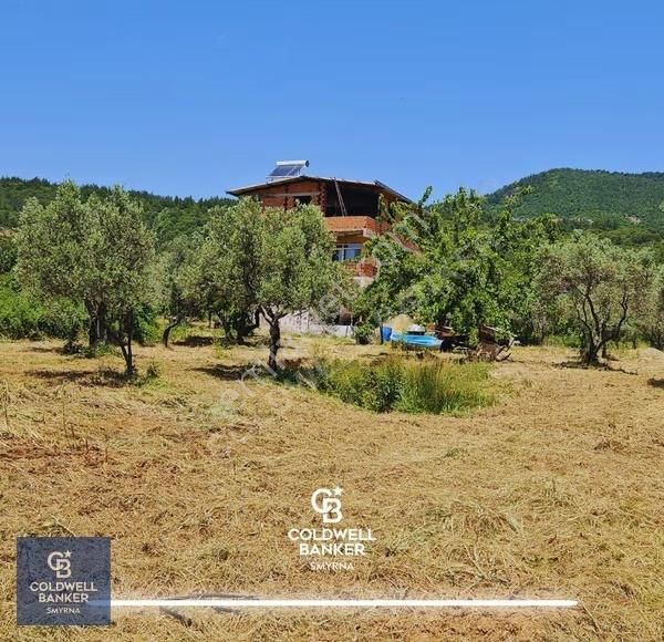 Kemalpaşa Vişnelide 13.640 M² | Çiftlik Ruhsatlı | 3 Katlı Yapı - Görsel 12