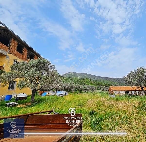Kemalpaşa Vişnelide 13.640 M² | Çiftlik Ruhsatlı | 3 Katlı Yapı - Görsel 8