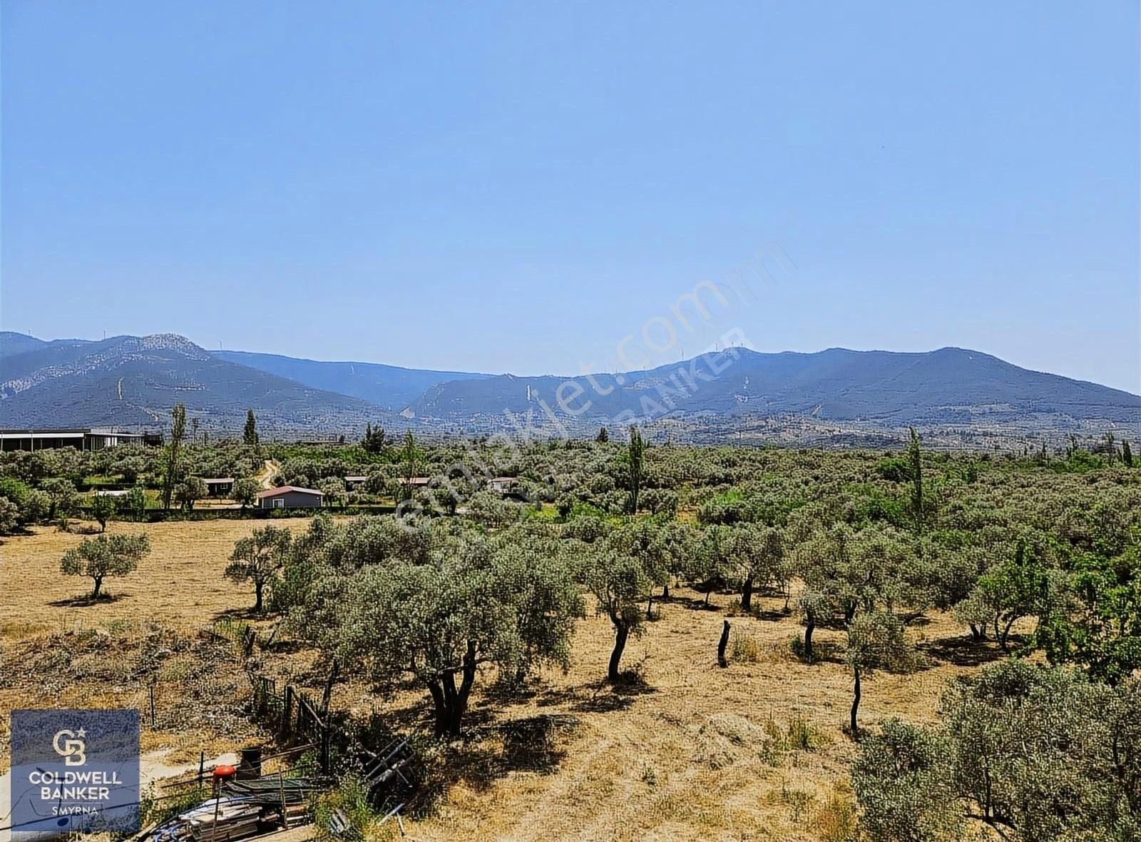 Kemalpaşa Vişnelide 13.640 M² | Çiftlik Ruhsatlı | 3 Katlı Yapı - Görsel 26