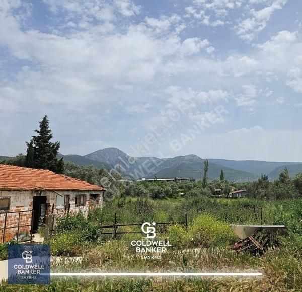 Kemalpaşa Vişnelide 13.640 M² | Çiftlik Ruhsatlı | 3 Katlı Yapı - Görsel 32