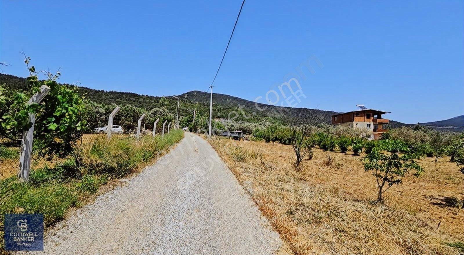 Kemalpaşa Vişnelide 13.640 M² | Çiftlik Ruhsatlı | 3 Katlı Yapı - Görsel 19